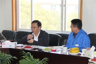 2013年3月18日，時任國家工信部節能司副司長楊鐵生一行蒞臨公司參觀指導